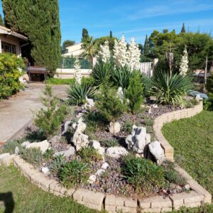 jardin11